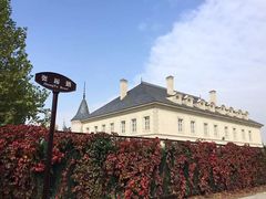 -北京张裕爱斐堡酒庄
