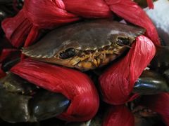 -青石桥市场北1-27号