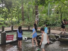 -成都市活水公园