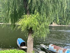 -新安江山水画廊风景区