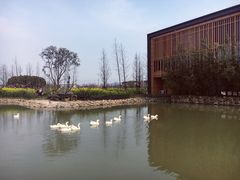 -田园东方蜜桃村的田野营地