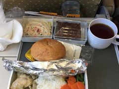 -新加坡航空公司(ION)