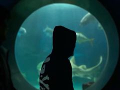 -常州海昌海洋探索馆