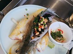 -蓝珊瑚蒸汽海鲜餐厅(龙奥店)