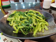 -红星光发煲仔饭(大石街店)