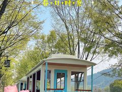 -径山花海
