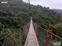 索道-三亚亚龙湾人间天堂鸟巢度假村