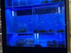 -大头椰·椰子鸡火锅(南宁万象城店)