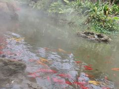 -南通洲际绿博园