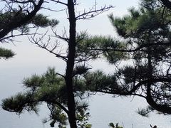 -燕窝岭