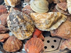 -巧克力渔家.小船海鲜胶东菜(万平口店)