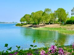 -丁香湖公园