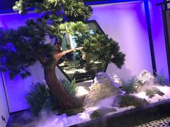 -绿茶餐厅(成都大悦城店)