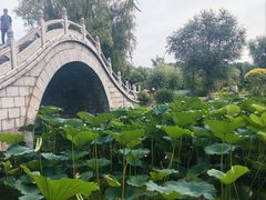 -长春市南湖公园