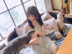 -more than meow吴止猫主题餐厅(承德 中船汇店)