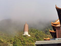 -深圳仙湖植物园