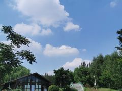 -莫子山公园