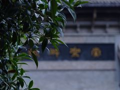 -凤栖山