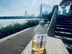 -深圳湾公园(南山区)