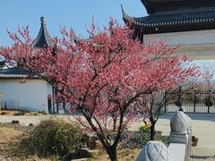 -苏州上方山国家森林公园