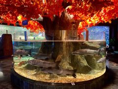 -成都浩海立方海洋公园