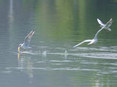 -黄河三峡风景名胜区