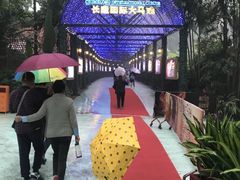 -广州长隆国际大马戏