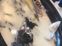 -老淳安—伴山伴湖(千岛湖开元度假村店)
