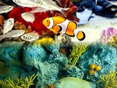 -上海海洋水族馆