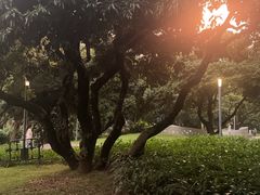 -blend咖啡部落(卓悦中心店)
