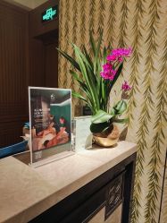 -文华东方水疗中心