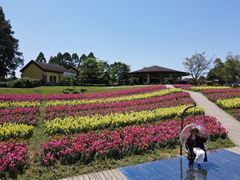 -保利石象湖景区