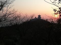 -杭州半山国家森林公园