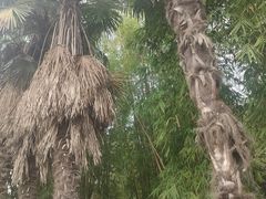 -南阳卧龙岗武侯祠