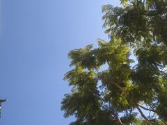 -马路边边麻辣烫联盟路店