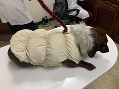 -美联众合动物医院·24h转诊中心