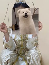 -玛瑞莎专业孕妇摄影(越秀店)