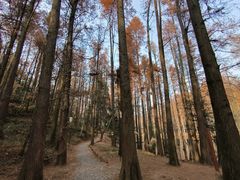-波尔登森林公园