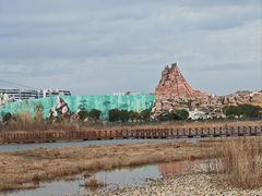 -上海海昌海洋公园