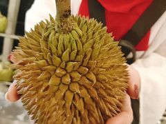 -都念榴莲·城市榴莲