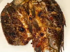 -龚海宝· 烧烤· 羊肉原切挂糊更好吃(庄市店)