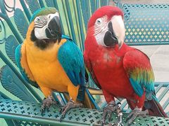 -南宫五洲植物乐园