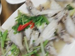 -长平肥姐白粥·海鲜打冷