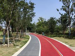 -澹台湖公园