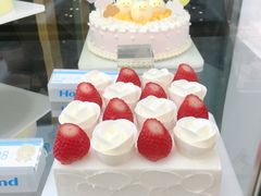 -蒲公英(五里店)