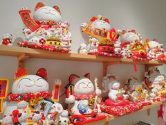 -爱宠屋pet shop·宠物洗澡·宠物美容