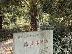 -张坝桂圆林公园