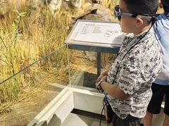 -陕西自然博物馆