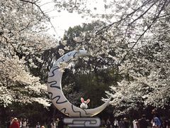 -杭州少年儿童公园