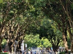 -厦门大学(思明校区)